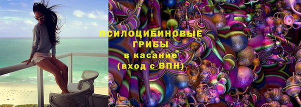шишки Абинск