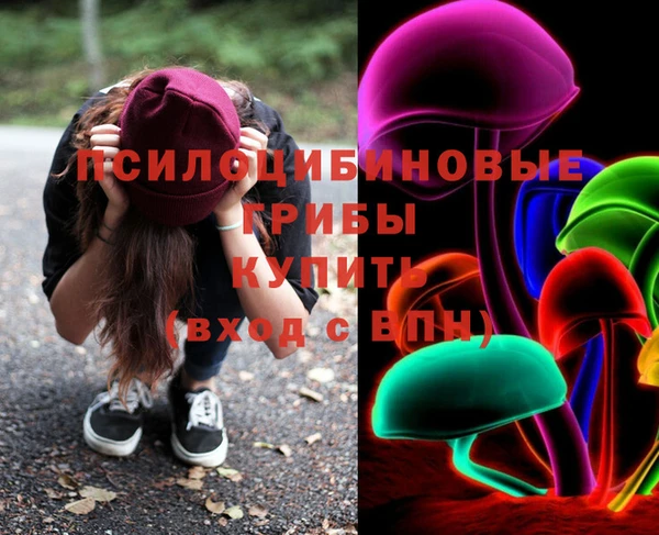 шишки Абинск