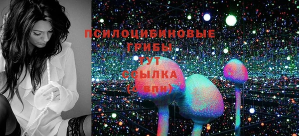 шишки Абинск
