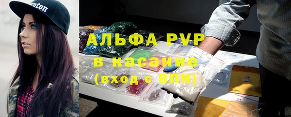 шишки Абинск